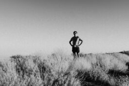 WILL DANIEL